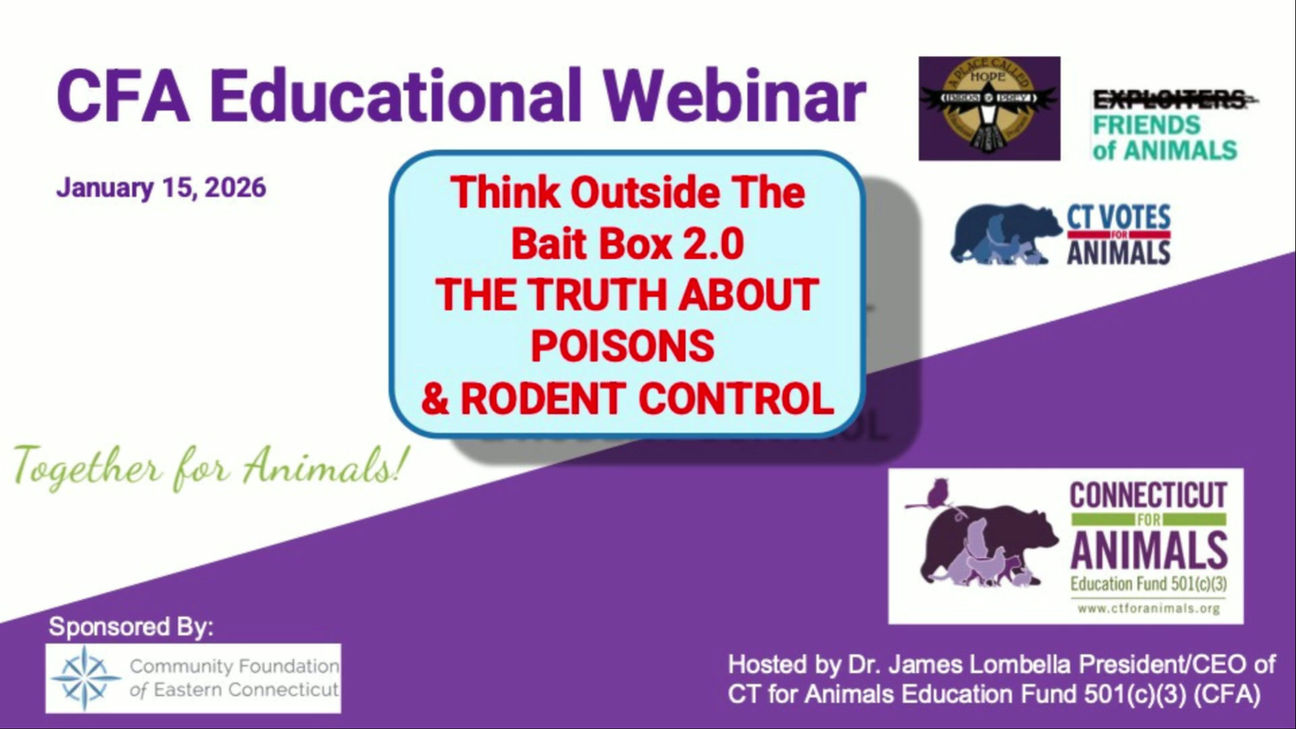 CFAWebinar_ThinkOutsideTheBaitBox2.0